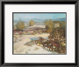 Desert Magic Prints by Vernon Kerr