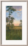 Tropische Ruhe II Poster von J. D. Davidson