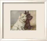 Scotch Terriers Plakater af Mac Scotch Terriers Plakater af Mac
