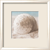 Trésors de la mer III Posters par Christine E.