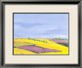 Colorful Landscape II Reprodukcje autor Clara Carreres