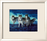 Grupo de lobos Láminas por John Naito