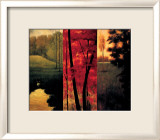 Point of View II Póster por Neil Thomas