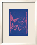 Vanishing Animals: Butterflies, c.1986 (Hot Pink on Blue) Posters par Andy Warhol