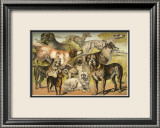 Dog Breeds II Prints by Henry J. Johnson