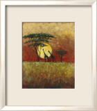 Acacia Sunset Giraffes Láminas por Kathleen Keifer Acacia Sunset Giraffes Láminas por Kathleen Keifer