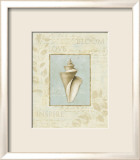 Soothing Words Shells III Affiches par Lisa Audit