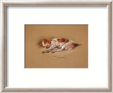 Judy, un cachorro de spaniel Pósters por Mac Judy, un cachorro de spaniel Pósters por Mac