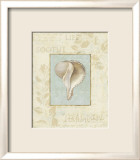 Soothing Words Shells IV Póster por Lisa Audit