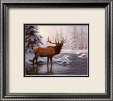 Elk II Plakat av Richard Burns