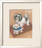 Kyo Leo Maltese Poster by Carol Ican