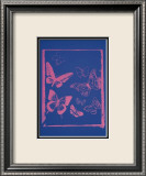 Vanishing Animals: Butterflies, c.1986 (Hot Pink on Blue) Poster autor Andy Warhol