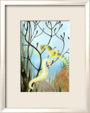 Seahorse Serenade II Láminas por Charles Swinford