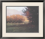 Montlake Hedge Plakater av Marc Bohne