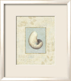 Soothing Words Shells II Posters van Lisa Audit Soothing Words Shells II Posters van Lisa Audit