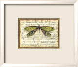 Dragonfly Harmony II Poster