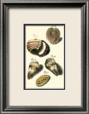 Neptune's Treasure II Print by Kruger 