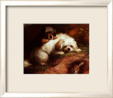 Playful Encounter Art by Thomas Earl