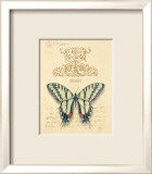 Filigree Papillon Pósters por Chad Barrett Filigree Papillon Pósters por Chad Barrett
