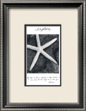 Erforschen Poster von Deborah Van Swearingen