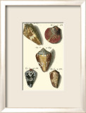 Neptune's Treasure I Prints by Kruger 