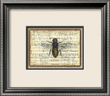 Bumblebee Harmony II Prints