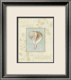 Soothing Words Shells IV Posters af Lisa Audit