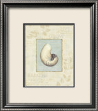 Lisa Audit - Soothing Words Shells II - Poster Lisa Audit - Soothing Words Shells II - Poster