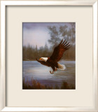 Fischender Adler Kunstdrucke von M. Caroselli