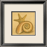 Shell and Starfish Posters par Jose Gomez