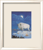 Weißer Bison Kunstdrucke von M. Caroselli