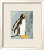 Manchot Art par Beth Sheffield