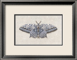All a Flutter Plakat av Jennifer Brice All a Flutter Plakat av Jennifer Brice