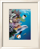 Dolphin's Reef Art par Mark Mackay