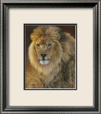 Power and Presence: African Lion Prints by Joni Johnson-godsy