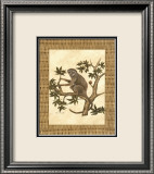 Monkey in a Tree II Láminas por Dianne Krumel Monkey in a Tree II Láminas por Dianne Krumel