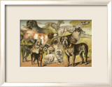 Dog Breeds II Prints by Henry J. Johnson