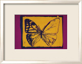 Vanishing Animals: Butterfly, c.1986 (Yellow on Purple) Plakater af Andy Warhol Vanishing Animals: Butterfly, c.1986 (Yellow on Purple) Plakater af Andy Warhol