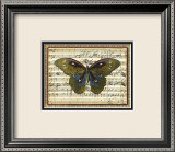 Butterfly Harmony I Prints