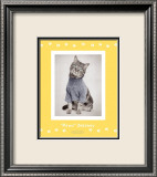 Paws" Delaney" Affiches par Rachael Hale