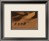 Niger Affiches par Jean-Luc Manaud