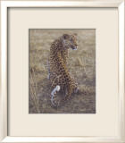 Leopardo Láminas por Daniel Smith Leopardo Láminas por Daniel Smith