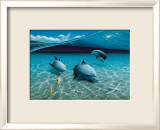 The Chase, Maui Dolphins Posters par Mark Mackay