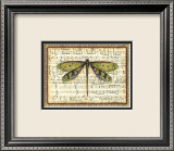 Dragonfly Harmony II Posters