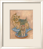 Terriers Affiches par Carol Ican