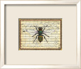 Bumblebee Harmony I Posters