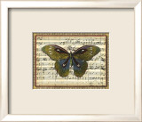 Butterfly Harmony I Art