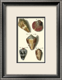 Neptune's Treasure I Prints by Kruger 