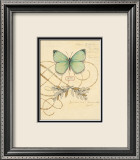 Scripted Papillon Láminas por Chad Barrett