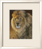 Power and Presence: African Lion Prints by Joni Johnson-godsy